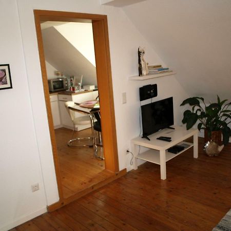 Ferienwohnung Klatschmohn Speyer Eksteriør billede